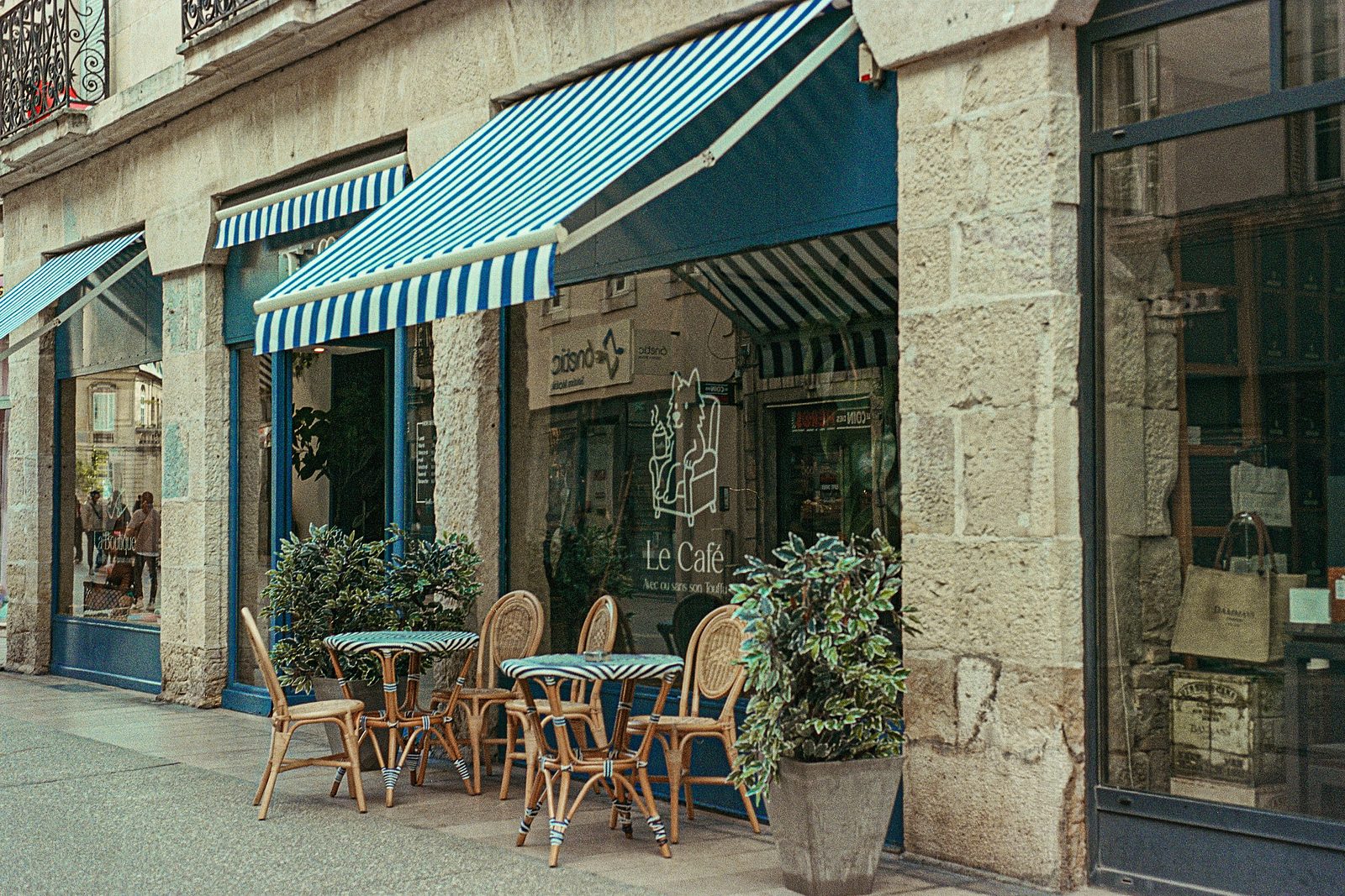 Tamèrlaterre